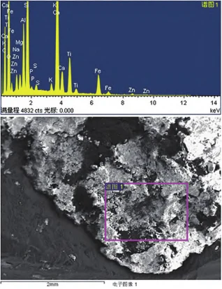Figure 6 Fracture surface inspection spectrum